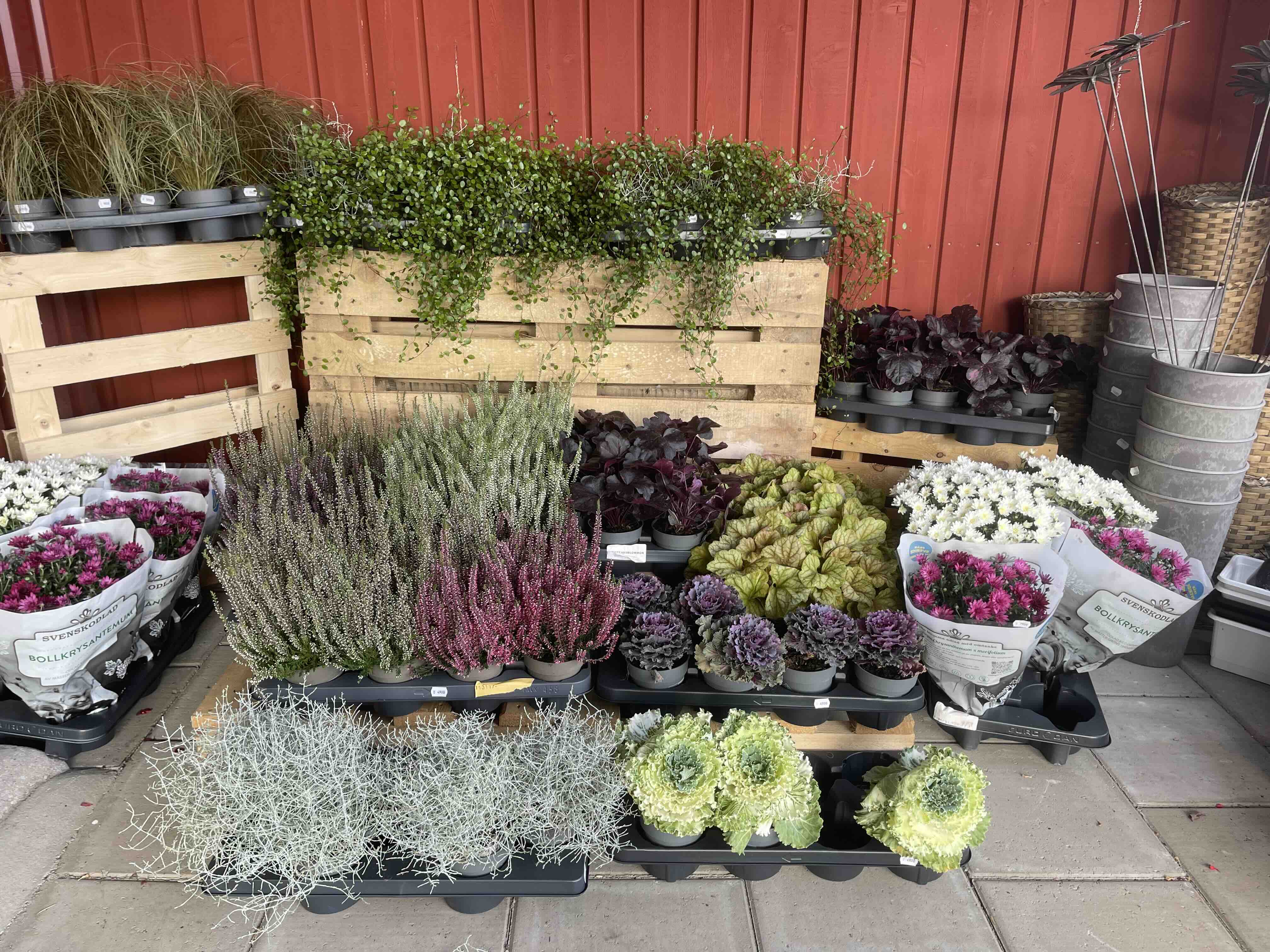 Grimor i arbete i skogsbryn