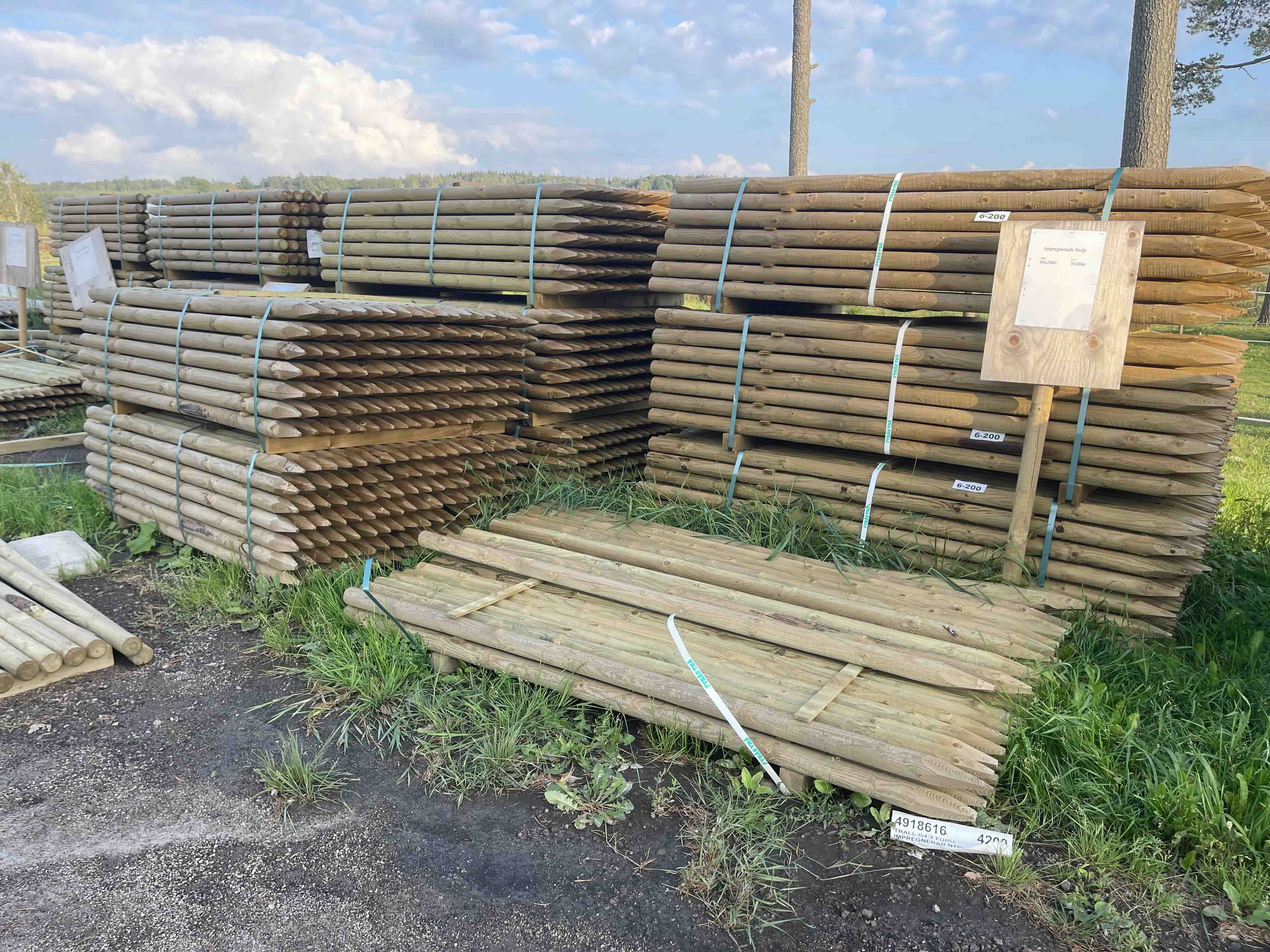 Grimor i arbete i skogsbryn